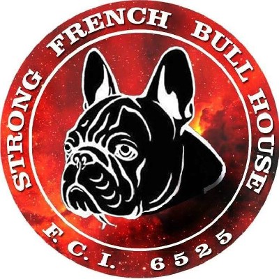 Francuski buldog stenci na prodaju