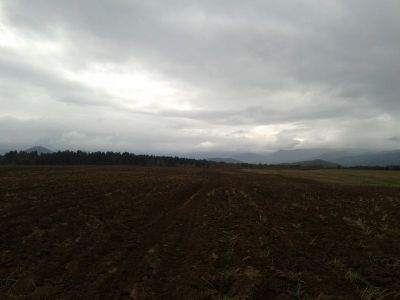 Poljoprivredo zemljište 6 ha